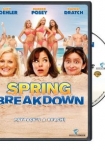 Spring Breakdown