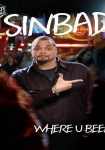 Sinbad: Where U Been?