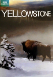 Yellowstone Nationalpark