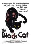 The Black Cat