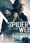 Spider in the Web