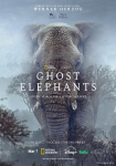 Ghost Elephants